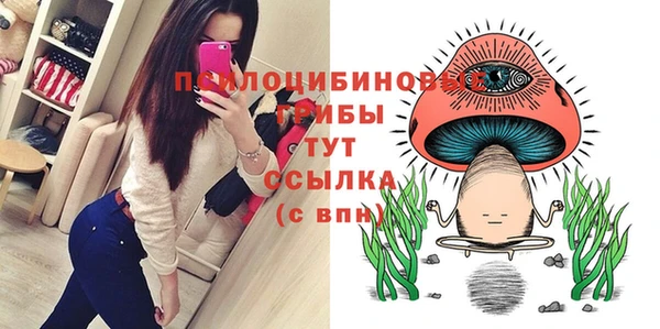молекула духа Белокуриха