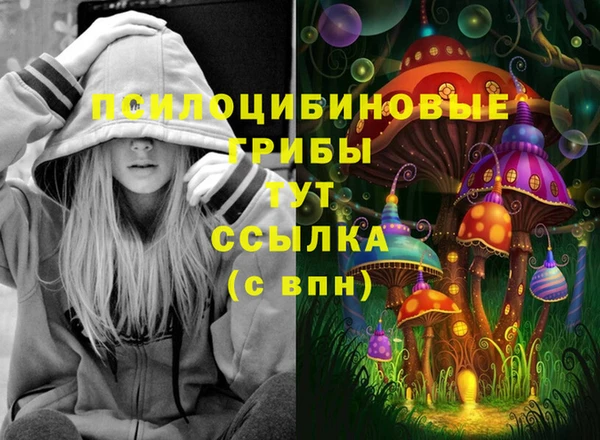 стаф Балахна