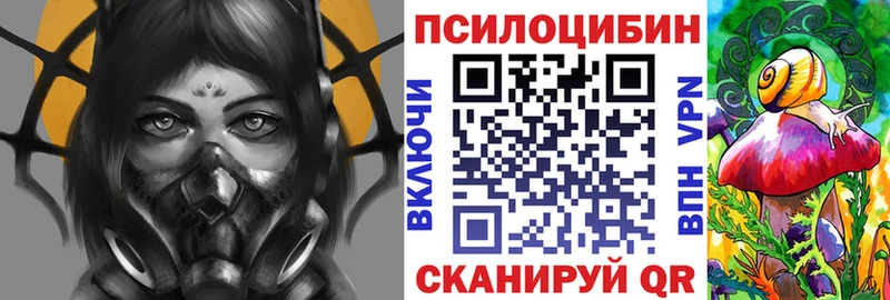 Псилоцибиновые грибы Psilocybine cubensis купить Кола